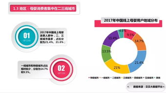 消费者研究与199it互联网数据中心 洞察数字时代的用户脉搏